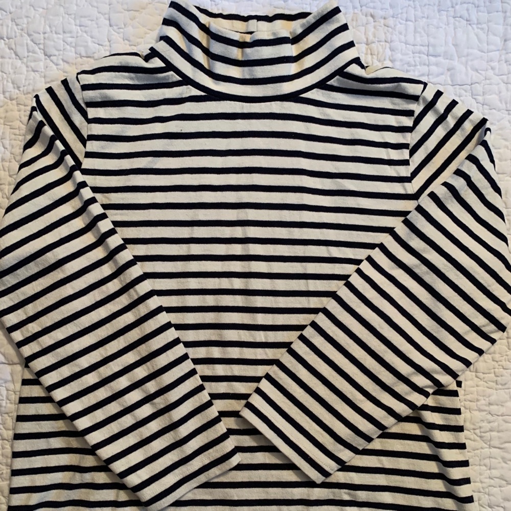 J Crew Striped Turtleneck